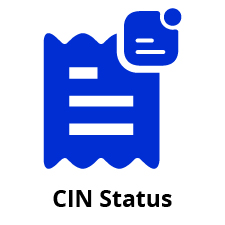 Company Detail search API BY CIN Number